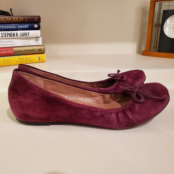 Vince Camuto Ballet Flats | GUC | 7M - Picture 5 of 8